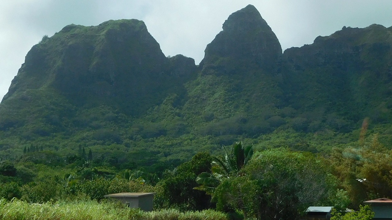 Photo of Others in Princeville