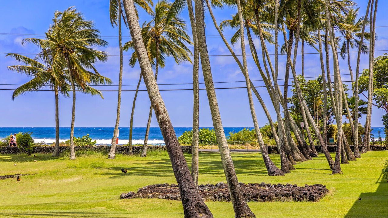 Photo of Outdoor in Poipu