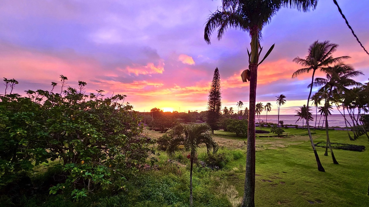 Photo of Others in Poipu