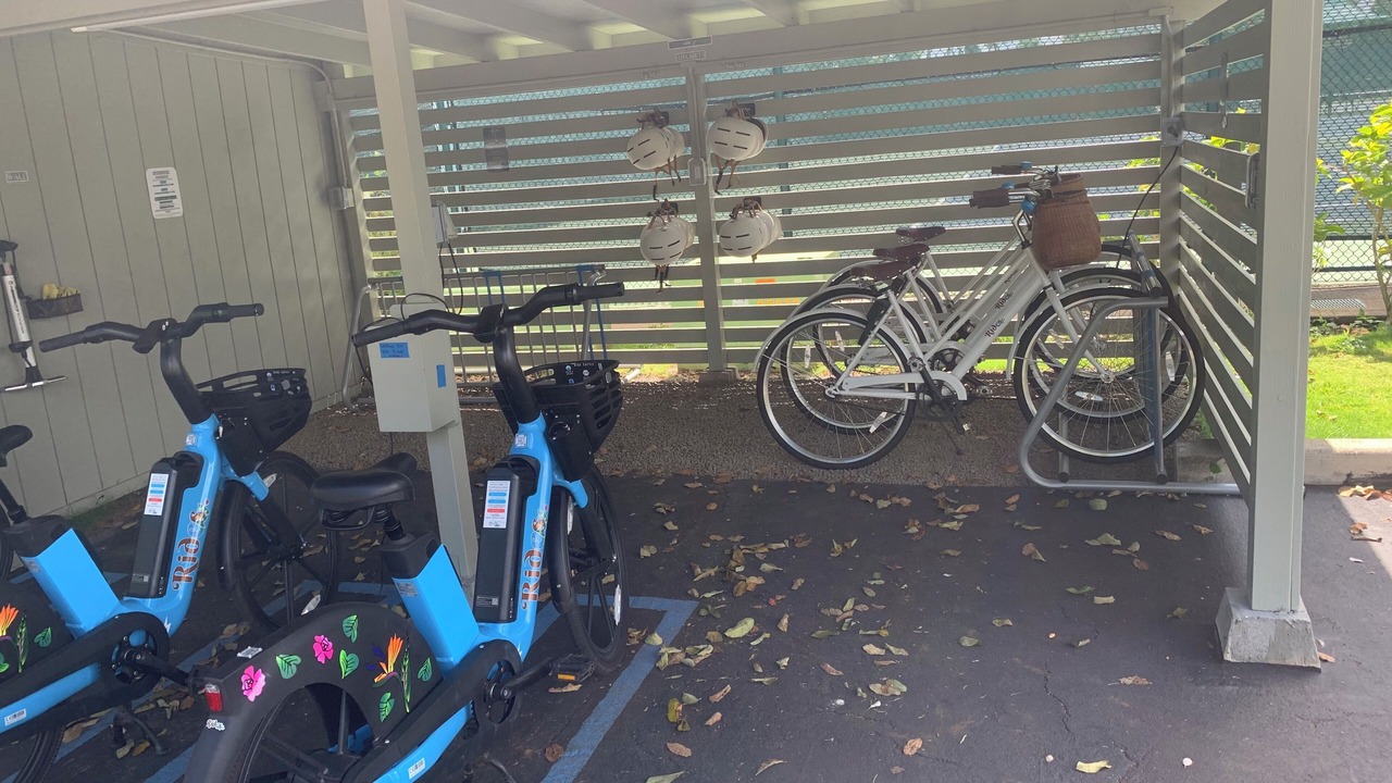 Photo of Outdoor in Princeville