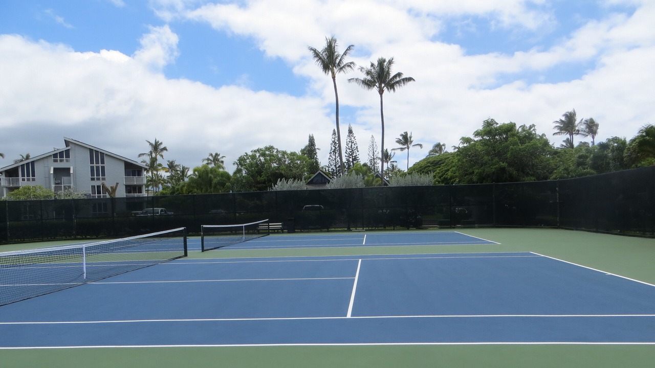 Photo of Others in Princeville