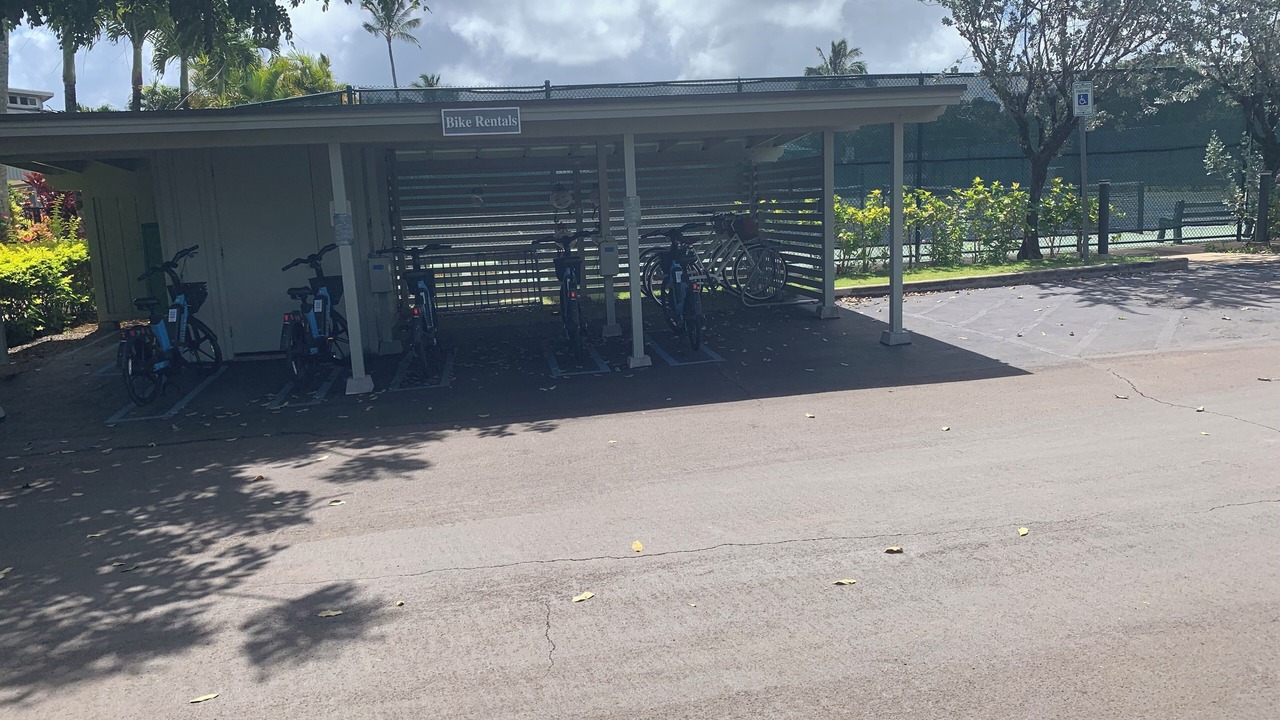 Photo of Outdoor in Princeville