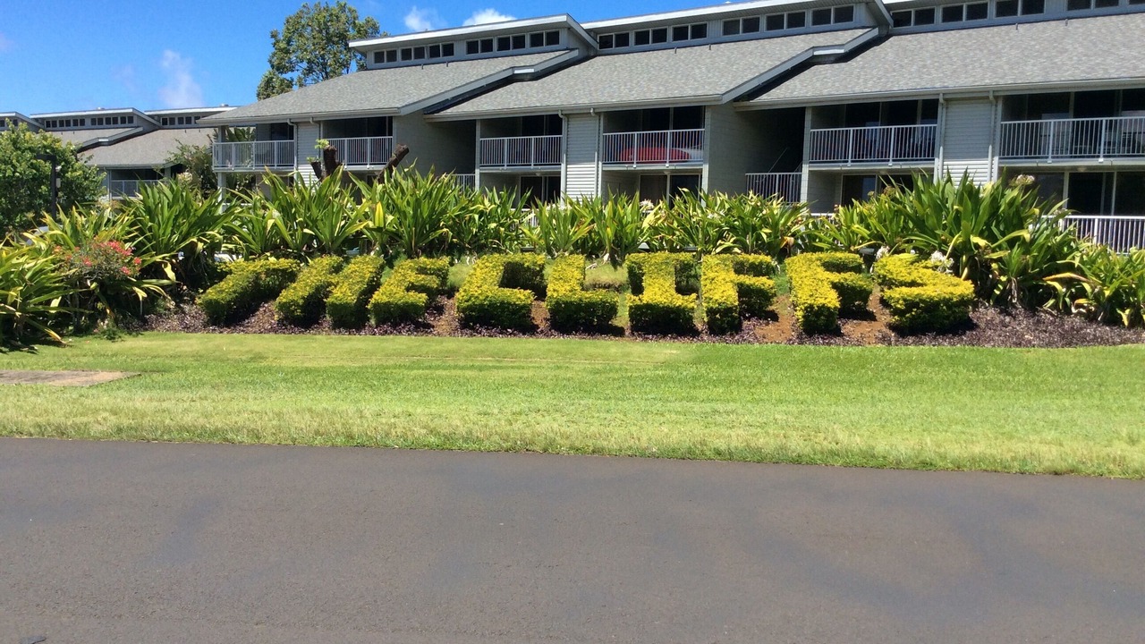 Photo of Outdoor in Princeville