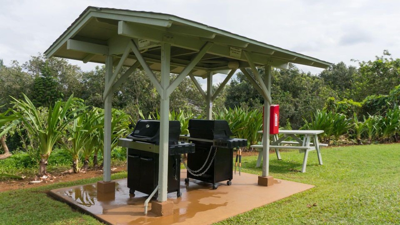 Photo of Others in Princeville
