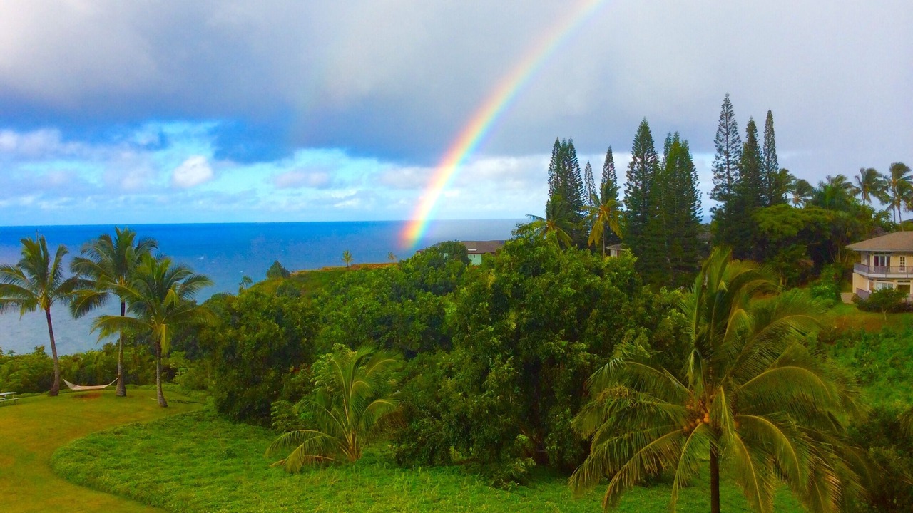 Photo of Outdoor in Princeville