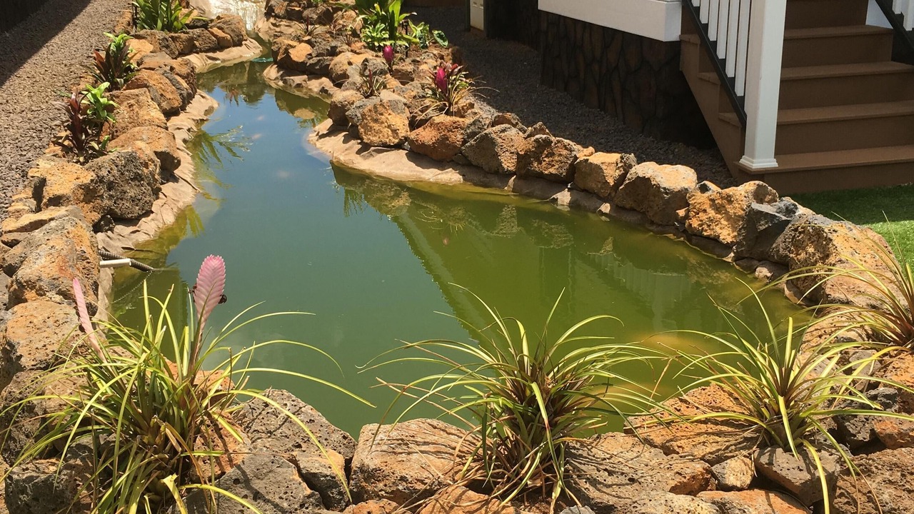 Photo of Outdoor in Poipu