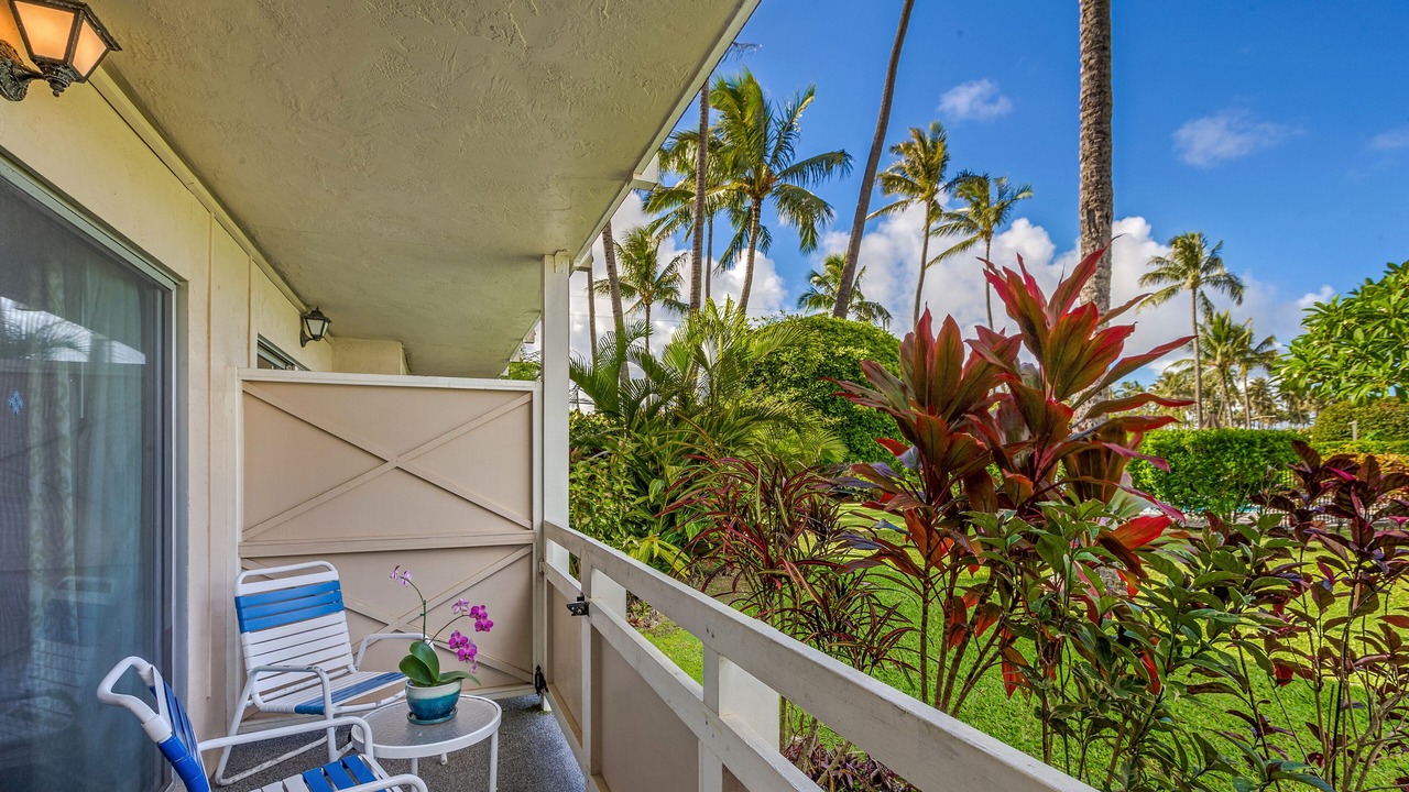 Photo of Outdoor in Wailua