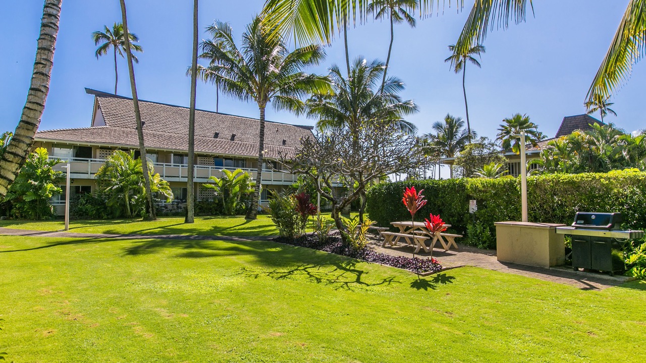 Photo of Others in Wailua