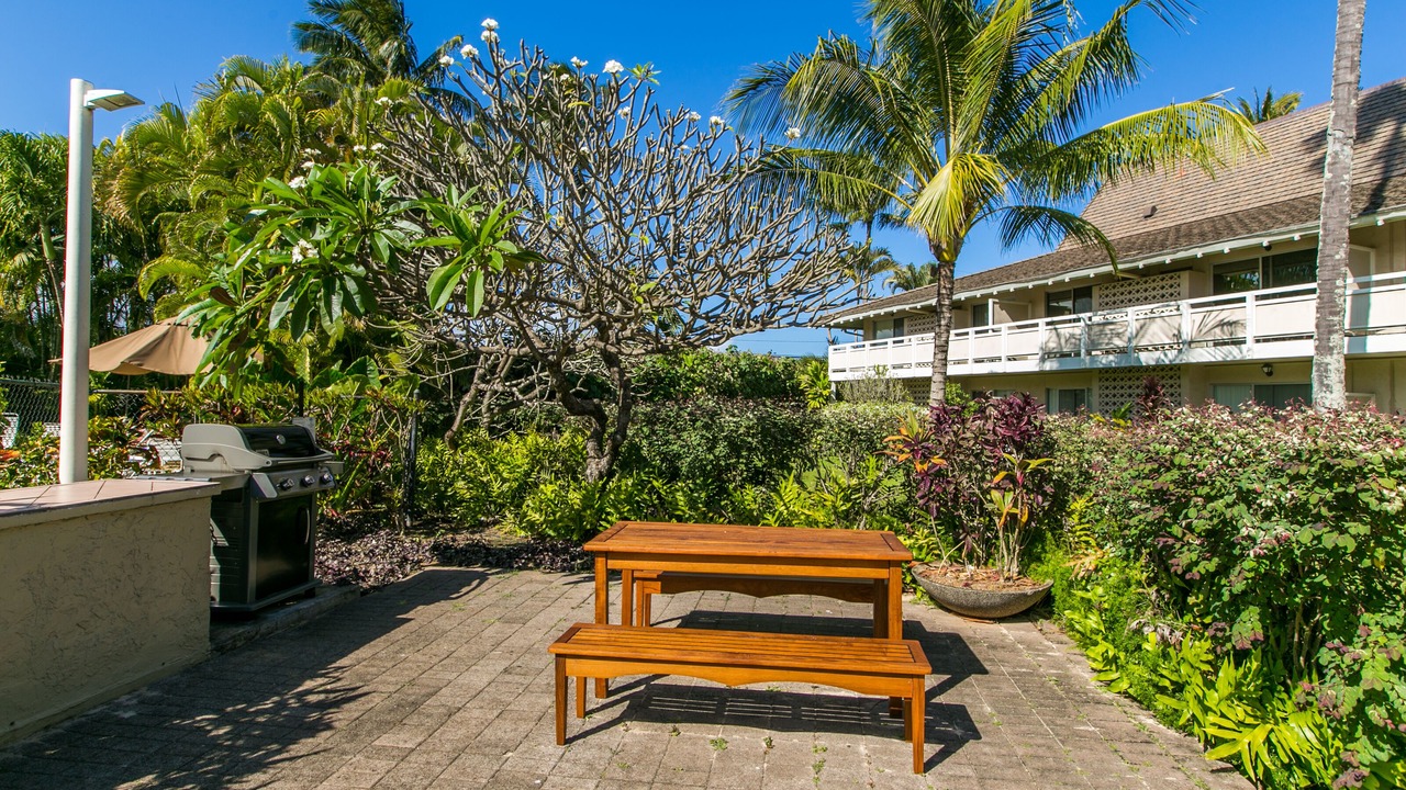 Photo of Others in Wailua