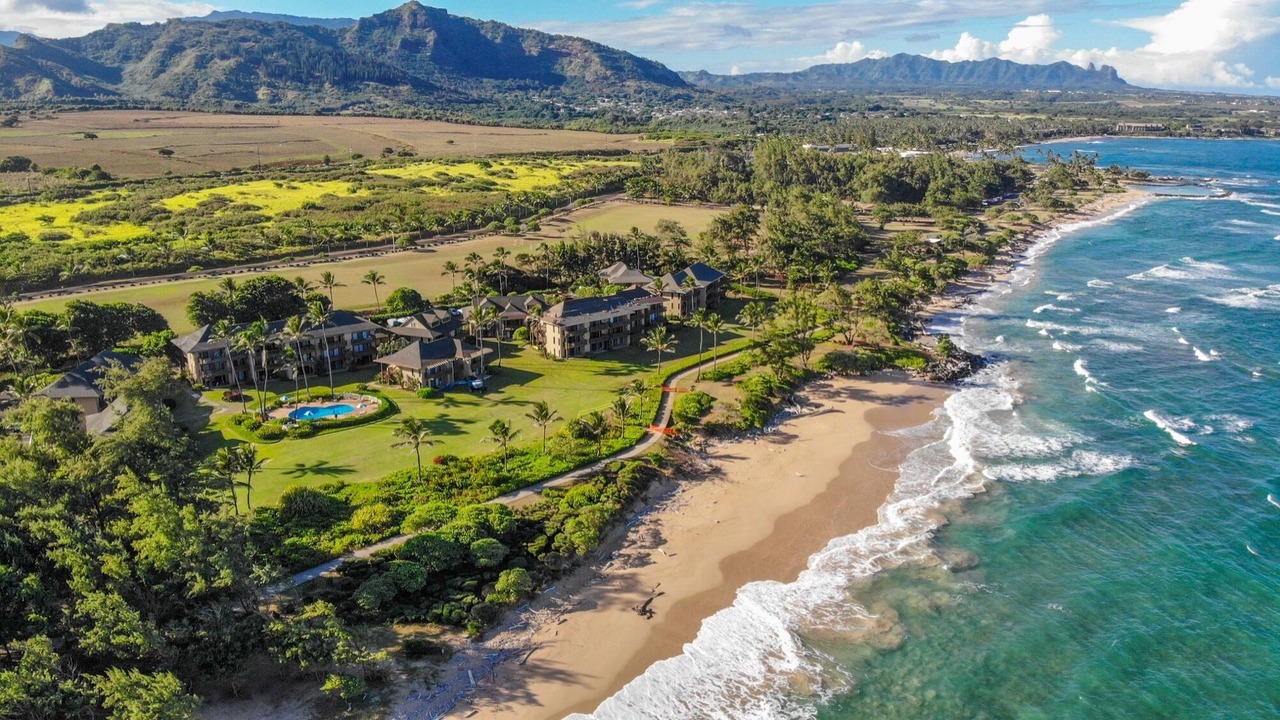 Photo of Others in Lihue
