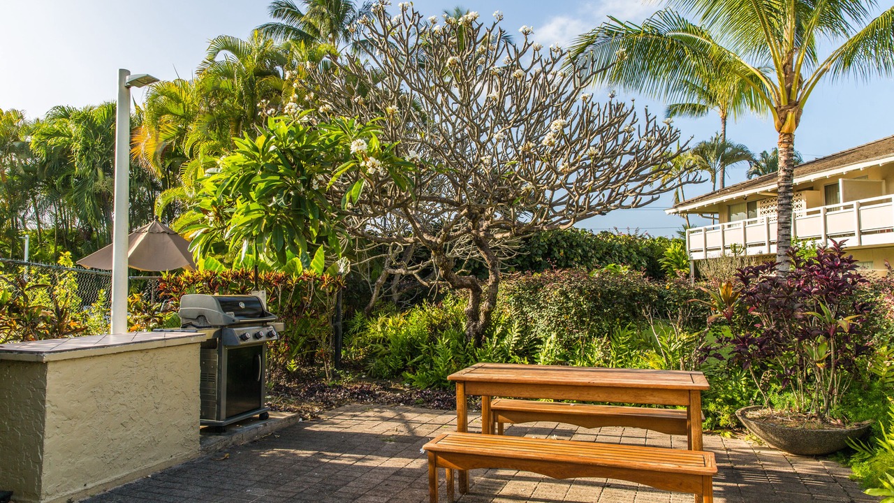 Photo of Others in Wailua