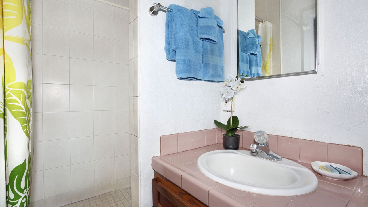 Photo of Bathroom in Poipu