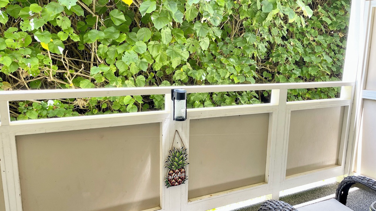 Photo of Outdoor in Wailua