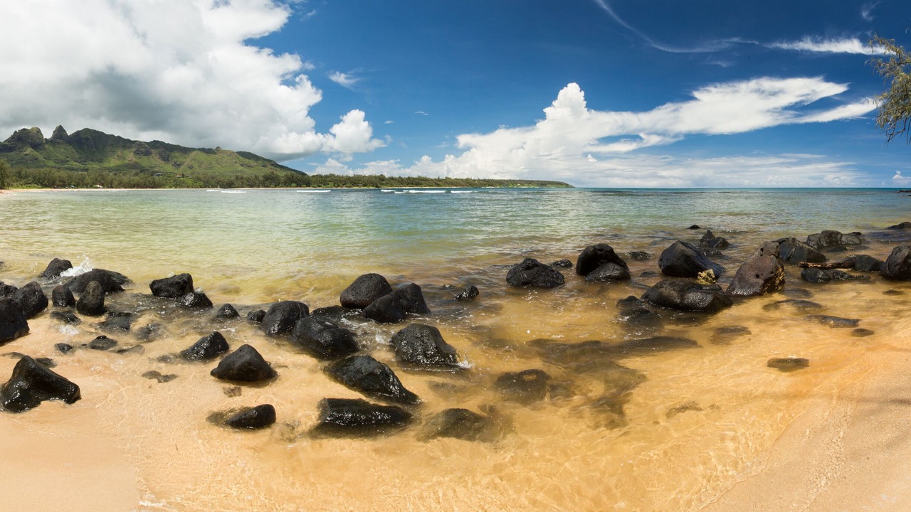 Photo of Others in Anahola