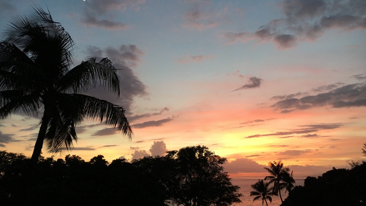Photo of Others in Kihei