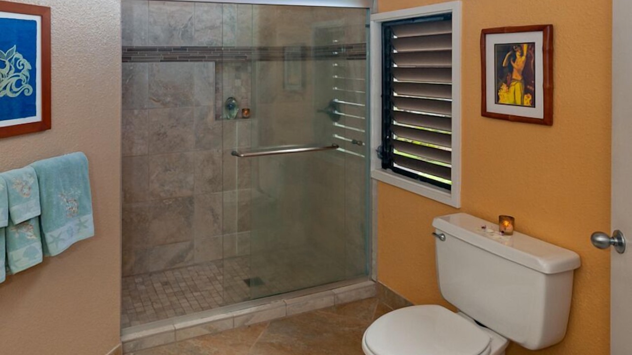Photo of Bathroom in Princeville