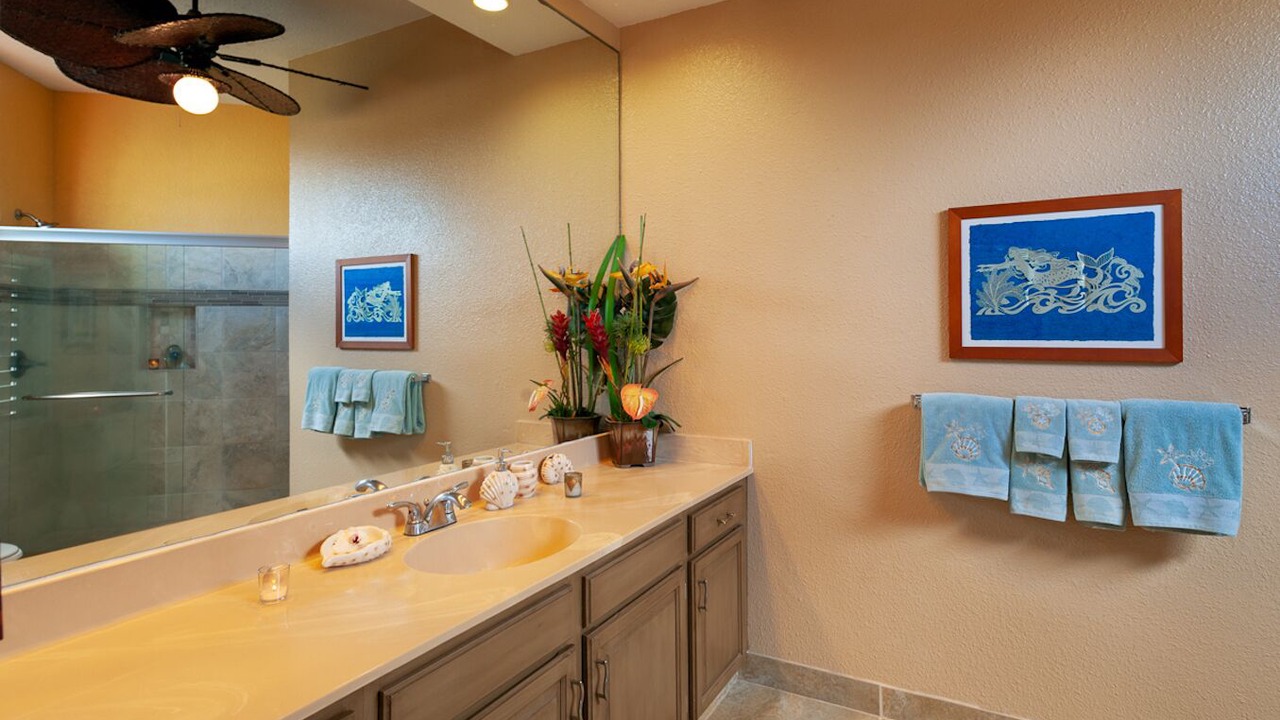Photo of Bathroom in Princeville