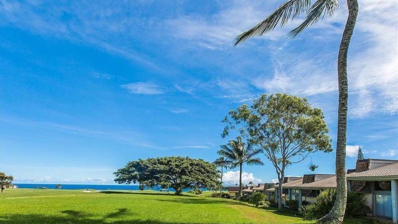 Photo of Others in Princeville