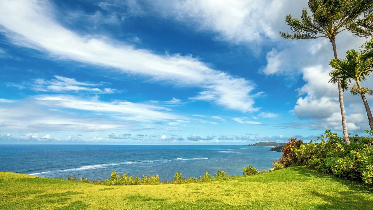 Photo of Others in Princeville