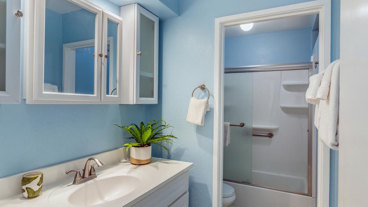 Photo of Bathroom in Princeville