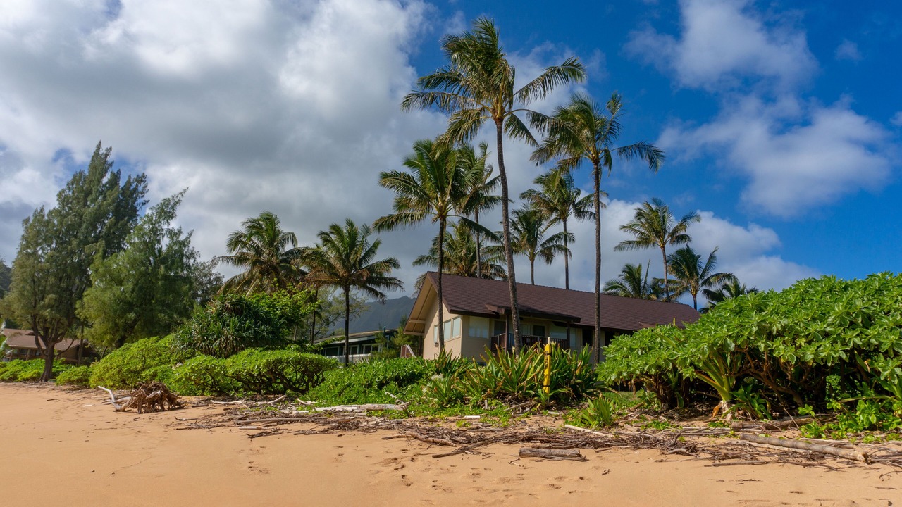 Photo of Others in Wainiha