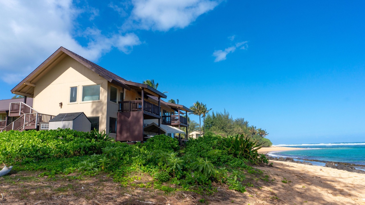Photo of Others in Wainiha