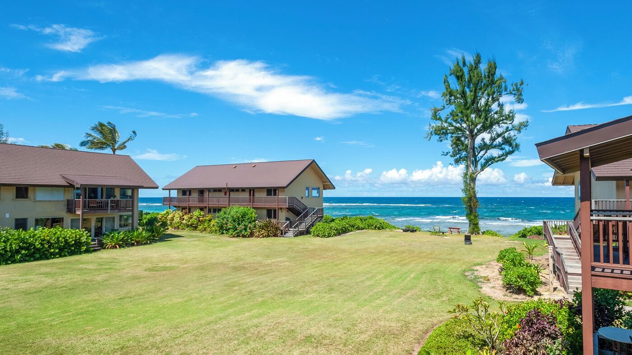 Photo of Others in Wainiha