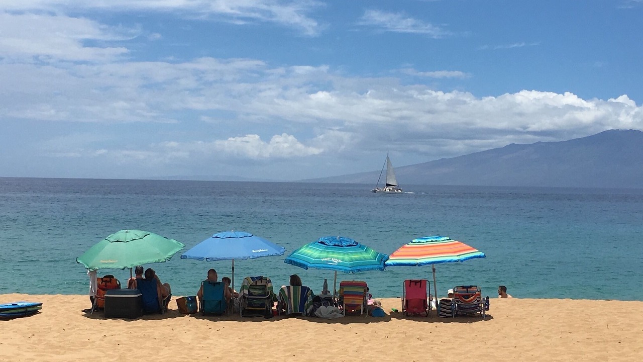 Photo of Others in Kaanapali