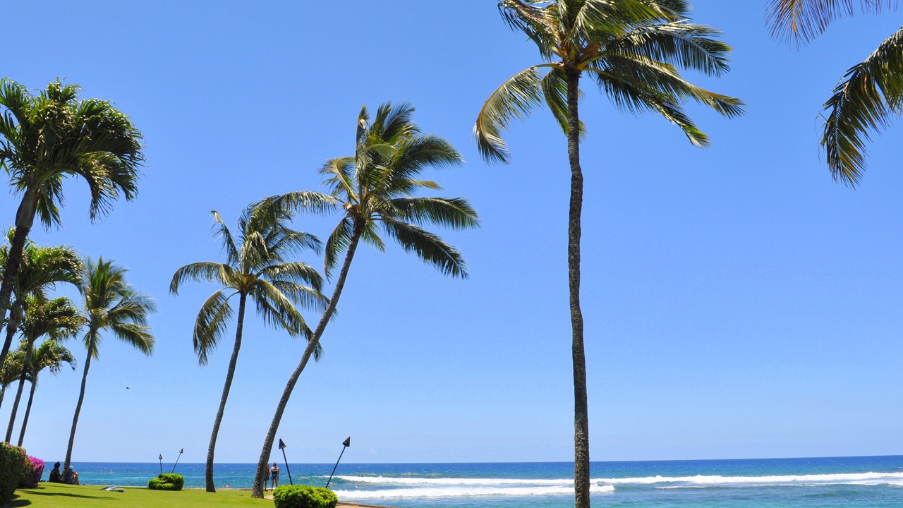 Photo of Others in Poipu