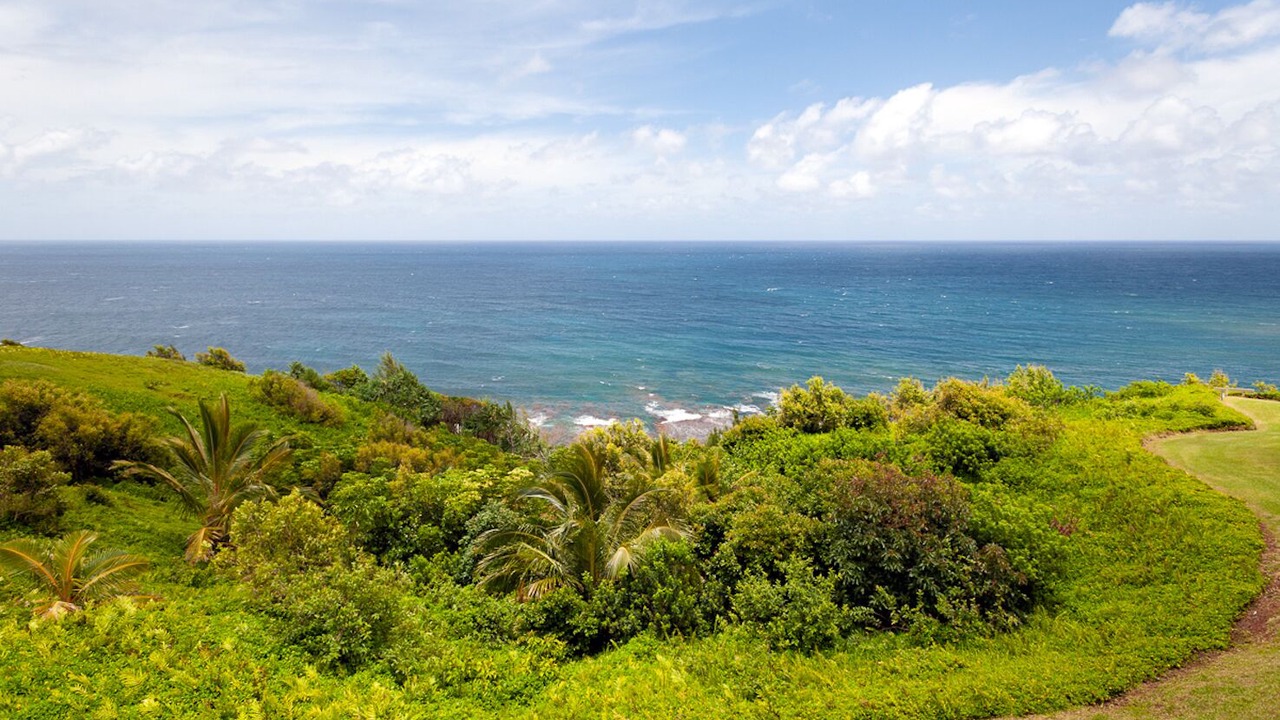 Photo of Others in Princeville