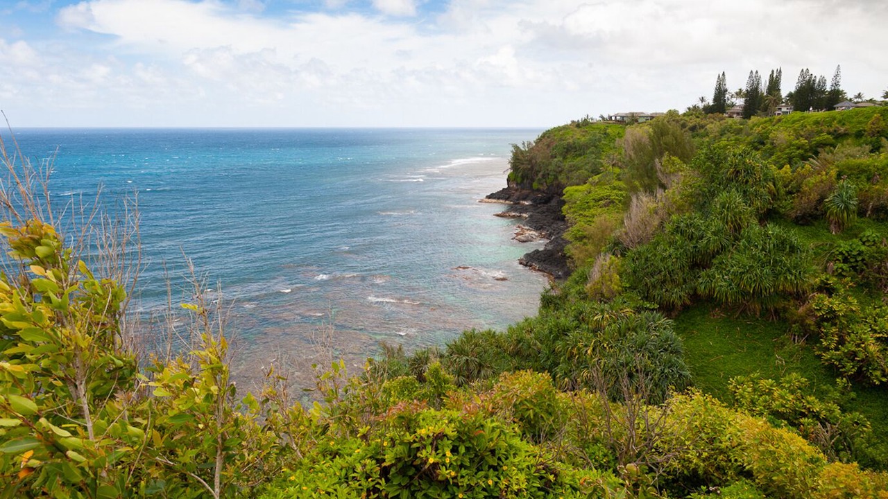Photo of Others in Princeville