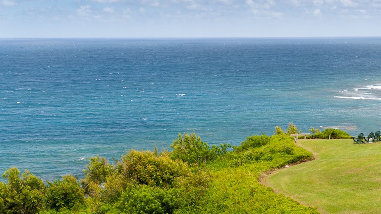 Photo of Others in Princeville