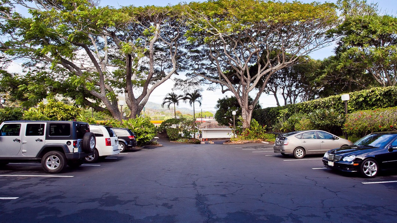 Photo of Outdoor in Wailua House Lots