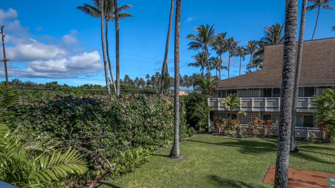 Photo of Outdoor in Wailua
