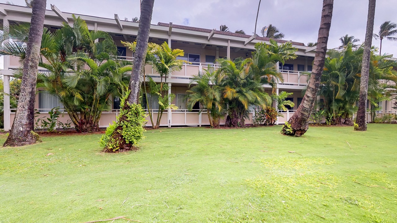 Photo of Outdoor in Wailua