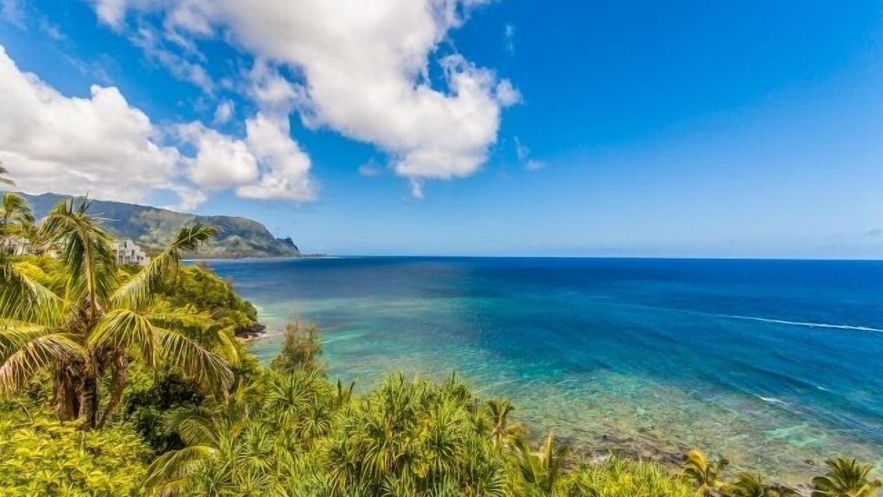 Photo of Others in Princeville
