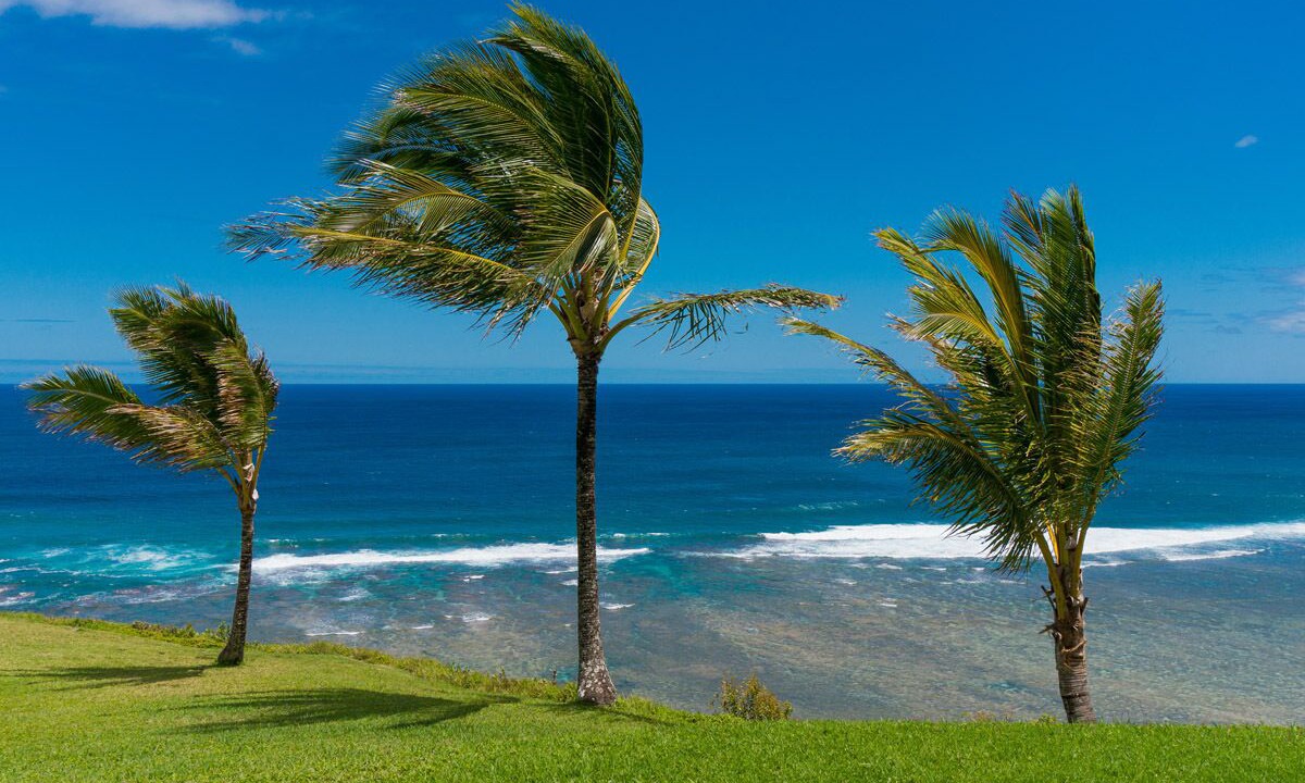 Photo of Others in Princeville