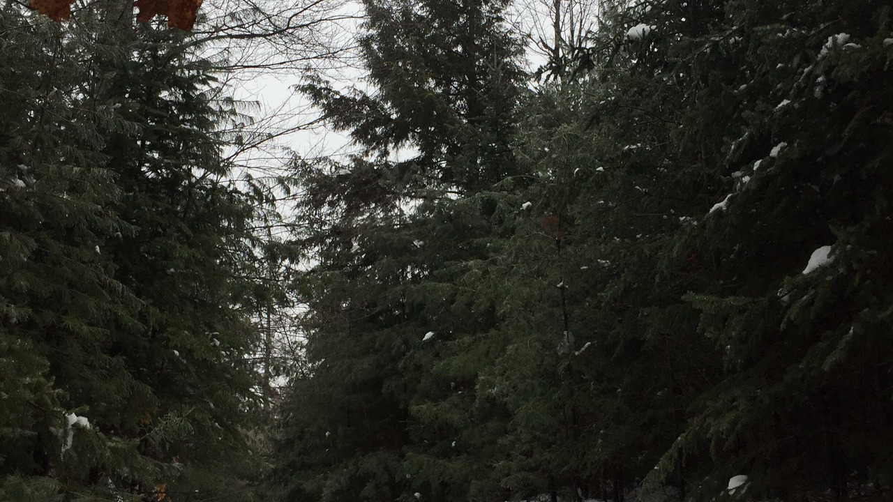 Photo of Outdoor in Athol