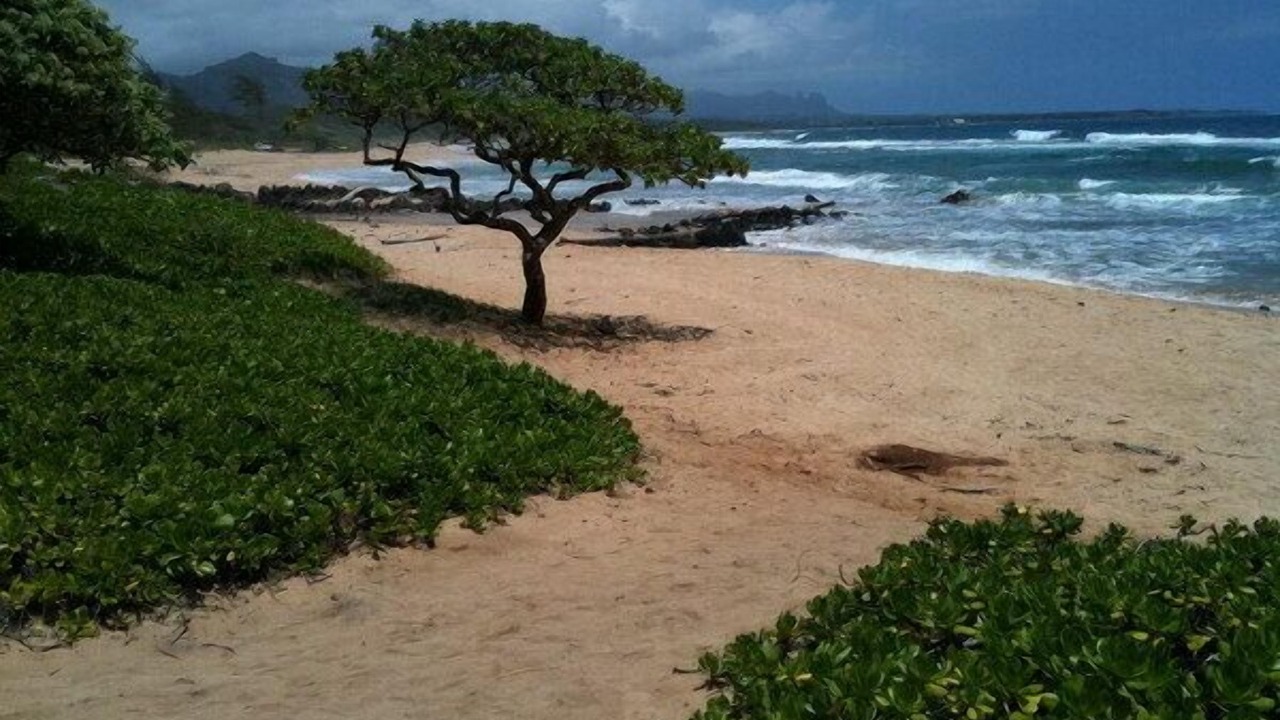 Photo of Others in Hanamaulu