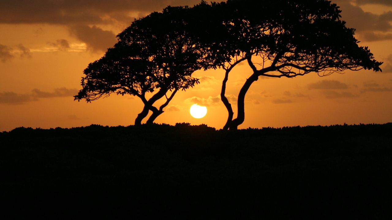Photo of Others in Hanamaulu