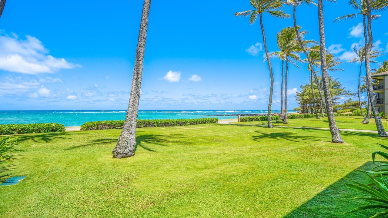 Photo of Others in Kapaa