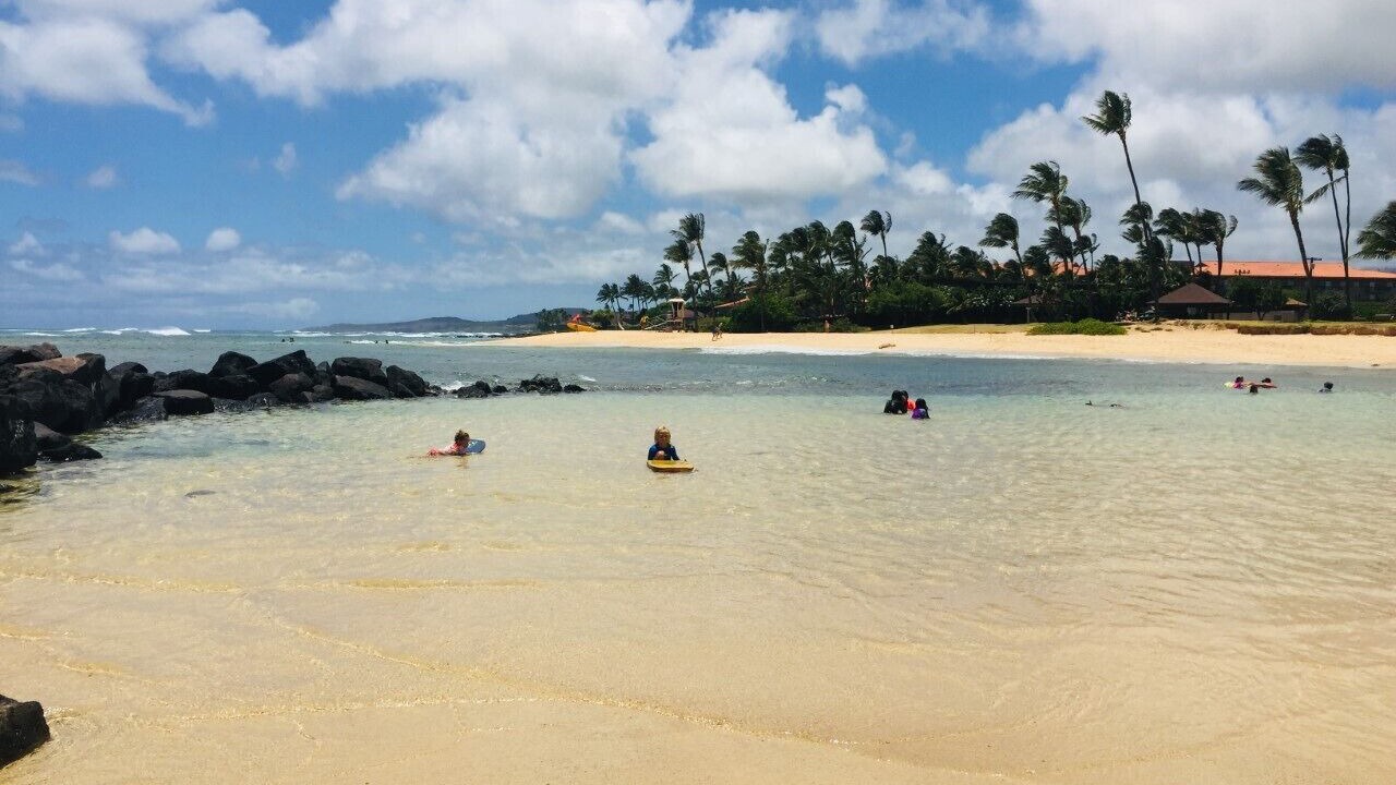 Photo of Others in Poipu