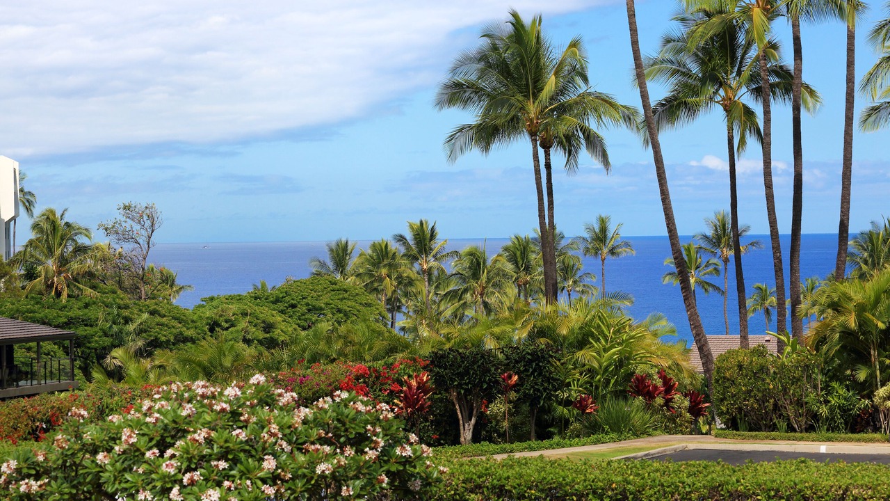 Photo of Bedroom in Wailea