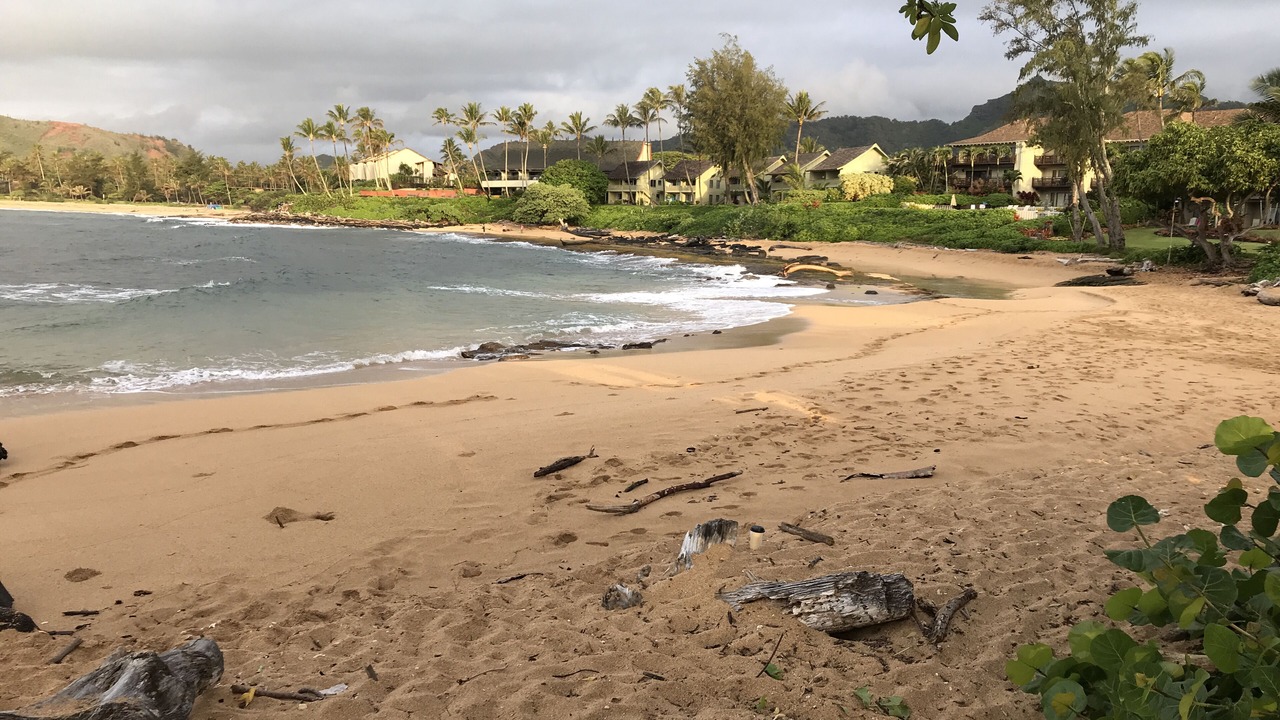 Photo of Others in Wailua
