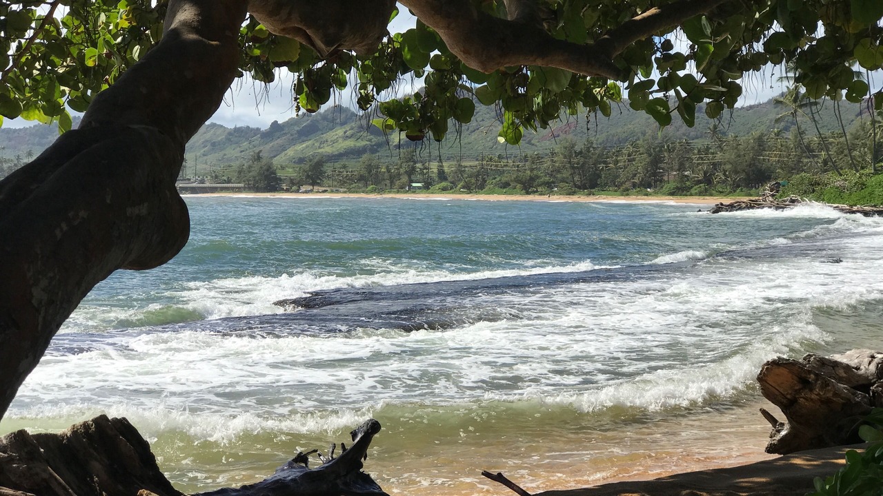 Photo of Others in Wailua