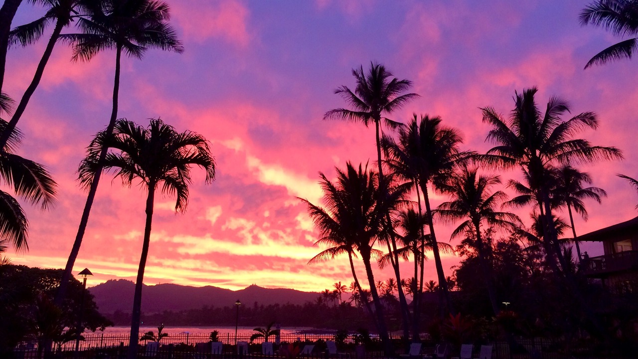 Photo of Others in Wailua