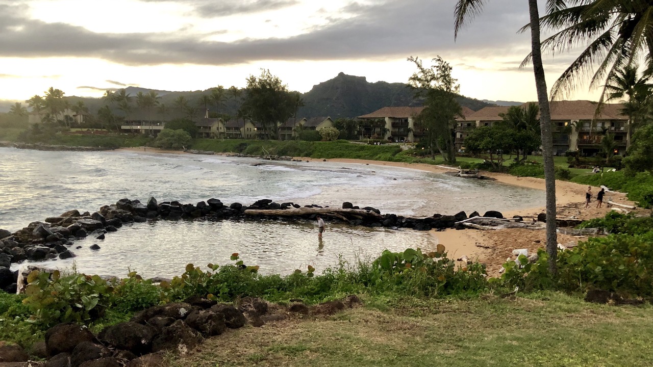 Photo of Others in Wailua