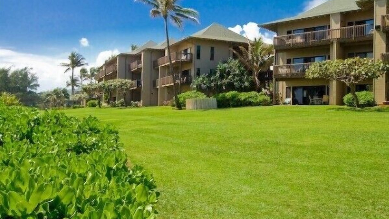 Photo of Others in Lihue