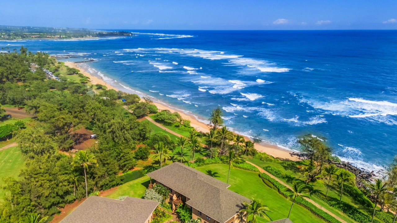 Photo of Others in Lihue