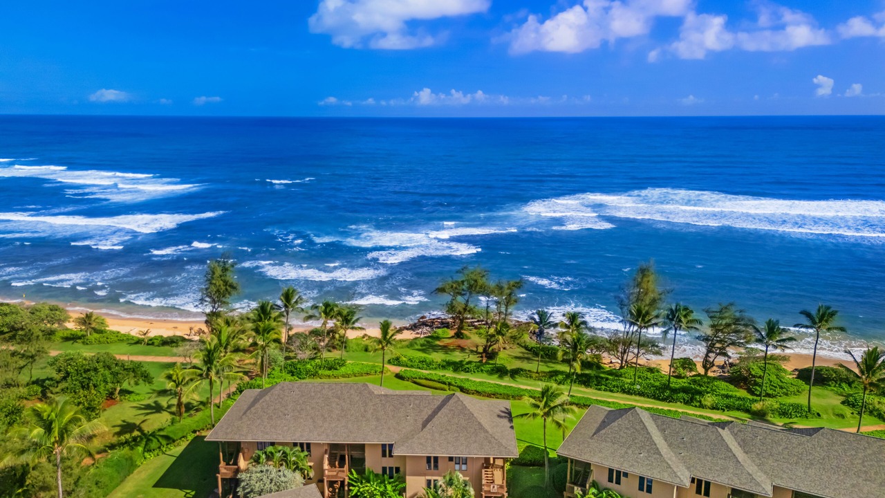 Photo of Others in Lihue